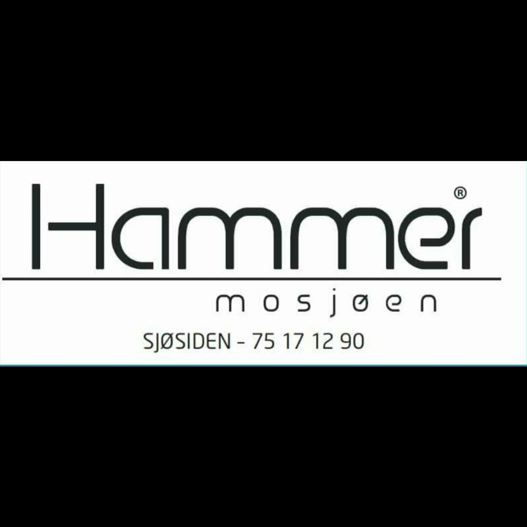 logo Hammer